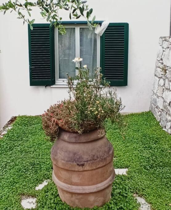 La Piazzetta Di Gra E Baldo Διαμέρισμα Σέστρι Λεβάντε Εξωτερικό φωτογραφία